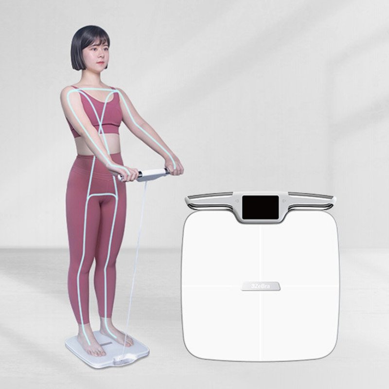 【健身必備】八電極體脂計(磅) (專業款) | 台灣3ZeBra 3Body Pro - 運動/健身器材 - 玻璃 