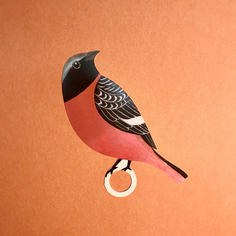 Message card and envelope set  Horohho　ジョウビタキ - 卡片/明信片 - 紙 紅色