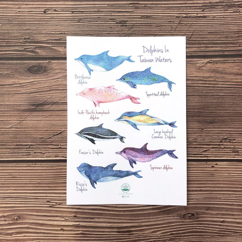 Dolphin Essay Postcard * Kuroshio Collaboration Goods - การ์ด/โปสการ์ด - กระดาษ 