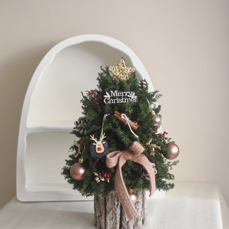 /永生雪松聖誕樹M款-B款/聖誕節 居家擺設 新年 送禮 生日 - 乾燥花/永生花 - 植物．花 多色