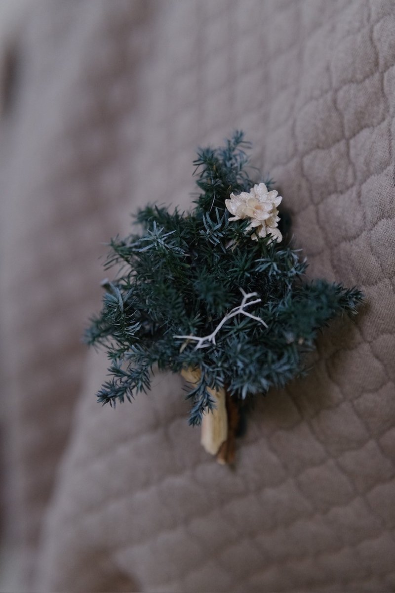 Dear All florist Everlasting Pine Leaf Brooch Brooch Corsage Decorative Christmas Gift - Dried Flowers & Bouquets - Plants & Flowers Green