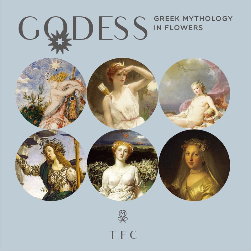 Goddess Color Palette / TFC Goddess color ticket (this page does not provide order) - ช่อดอกไม้แห้ง - พืช/ดอกไม้ 