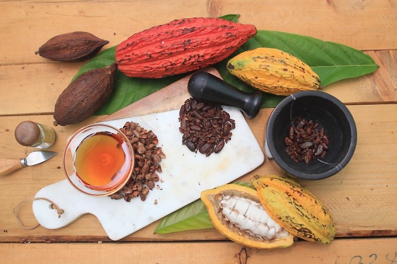 [Plan for Two] Encounter with Farming Chocolate Tasting Mayan Cocoa Discovery Tour for Parent-Child Couples - อาหาร/วัตถุดิบ - อาหารสด 