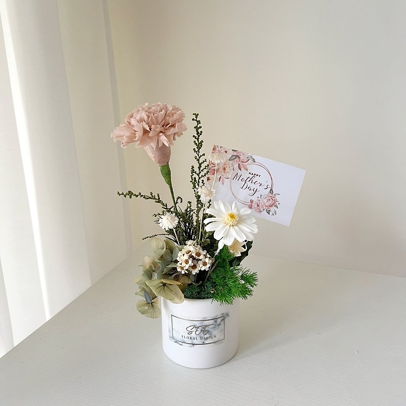 Hazelnut-resistant carnation small potted plant - ช่อดอกไม้แห้ง - พืช/ดอกไม้ 