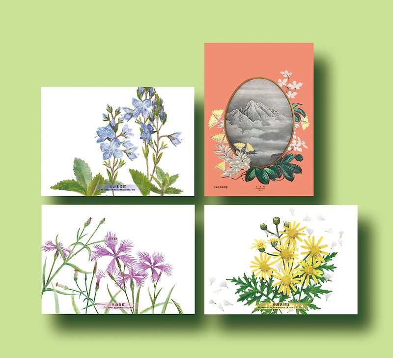 alpine plants postcard - การ์ด/โปสการ์ด - กระดาษ หลากหลายสี