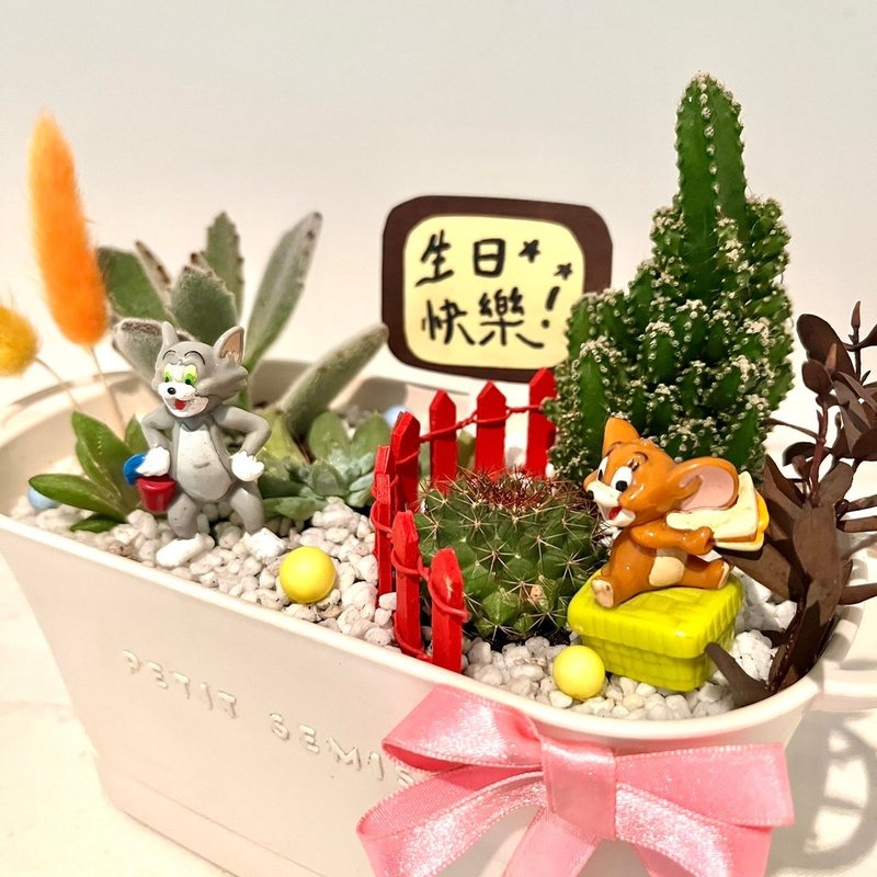 Tom and Jerry succulent potted succulent potted micro-landscape customization - ตกแต่งต้นไม้ - พืช/ดอกไม้ สีเขียว