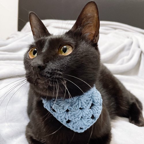 HANGRY & ANGRY 猫耳マフラー HANGRY & ANGRY 猫耳マフラー Legato Largo マフラー 猫