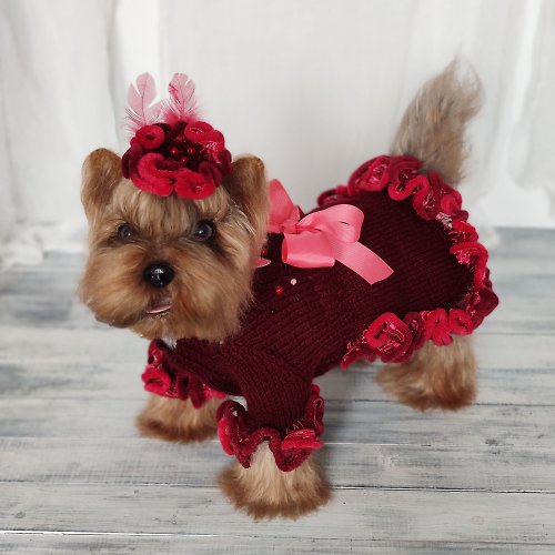 Pretty pet sweater Burgundy handmade ruffled dog dress Butterfly knit dress for small dog with bow