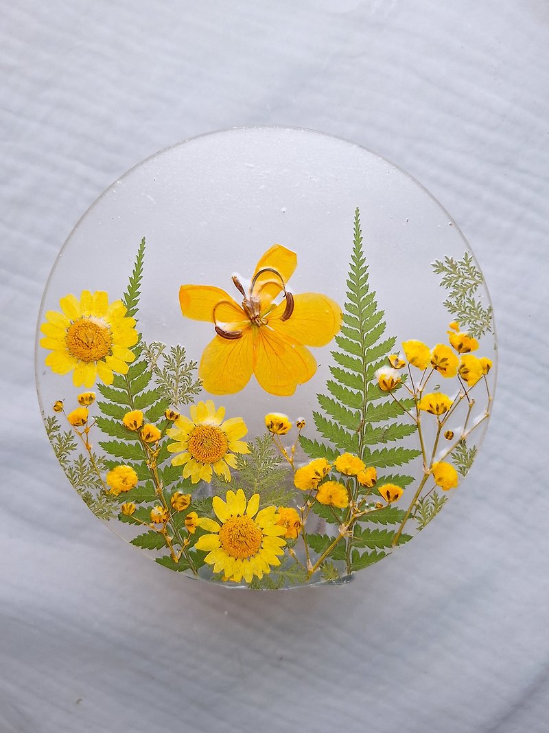 Clear Glass Candlestick Holder | Pressed flowers  | Home Deco - เทียน/เชิงเทียน - วัสดุอื่นๆ สีเหลือง