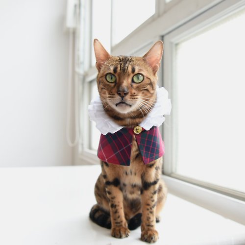 ZAZAZOO 【ZAZAZOO】寵物歐式拉夫領 (Ruff Collar) --貓