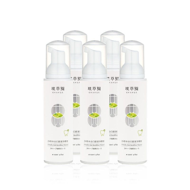 24 Herbal Mouth Cleansing Mousse 120ml 5-pack - Rinse mouth, clean mouth - Toothbrushes & Oral Care - Plants & Flowers 