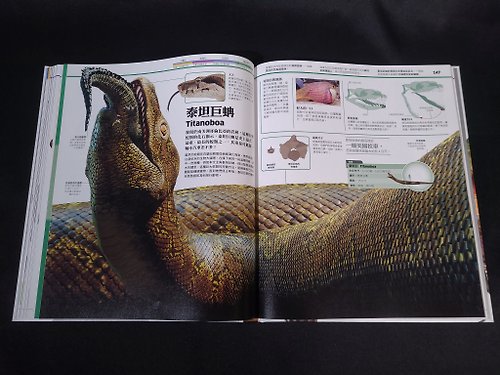 恐竜大百科（DK大百科07）