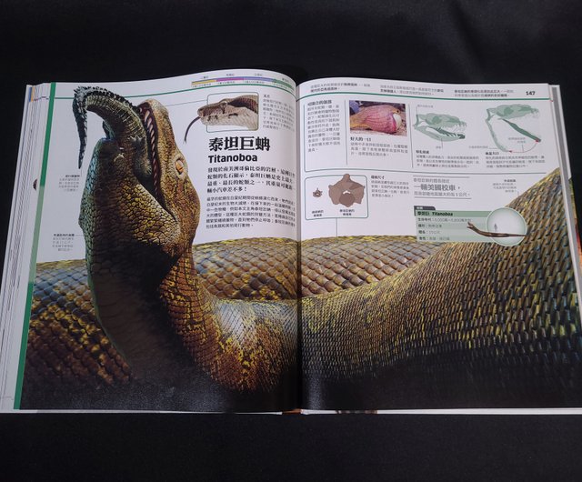 2024激安通販 解ら 英語本 新品) DK 12冊セット Collection 洋書