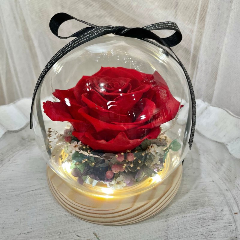 | Little Dream Flower Art | Ecuador XL Immortal Red Rose LED Light Ring Base Glass Ball - ช่อดอกไม้แห้ง - พืช/ดอกไม้ ขาว