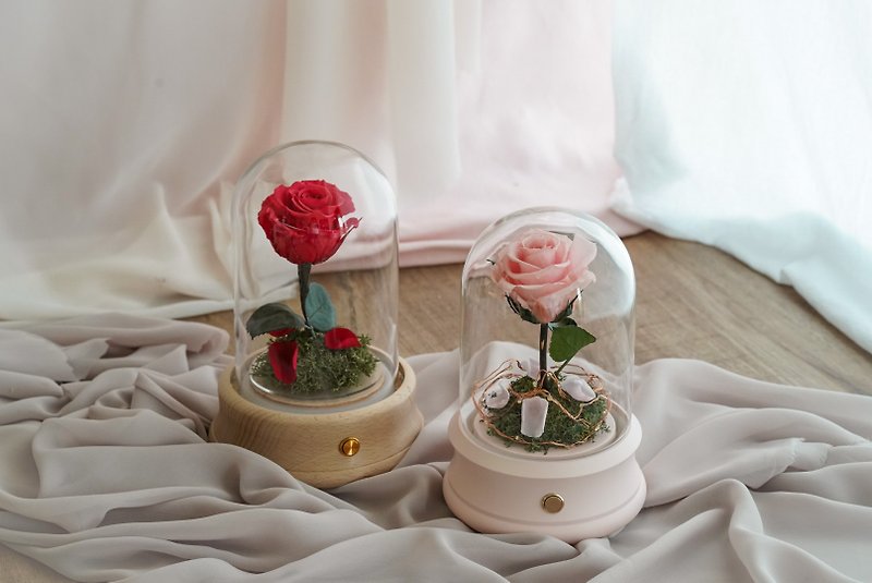 Beauty and the beast Bluetooth speakers - Dried Flowers & Bouquets - Plants & Flowers Multicolor
