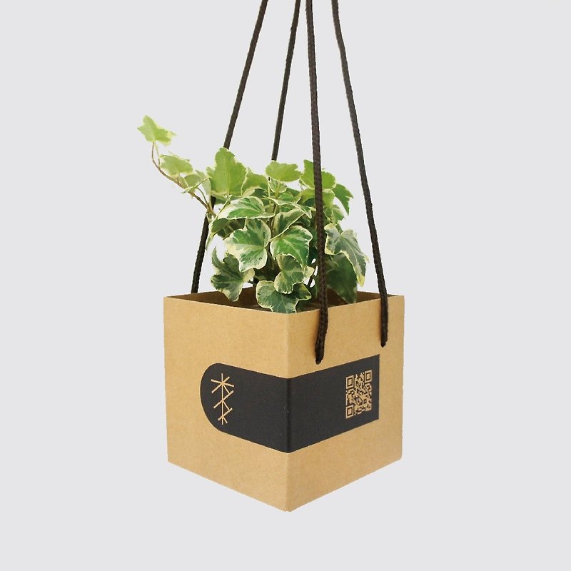 │ 加購商品│ 送禮手提禮盒 - 植物提盒 防撞禮盒 - 其他 - 紙 