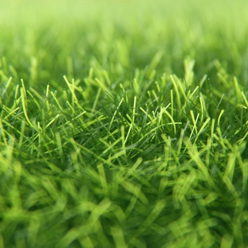 Customized turf: 42×26 cm two pieces - Items for Display - Other Materials Green