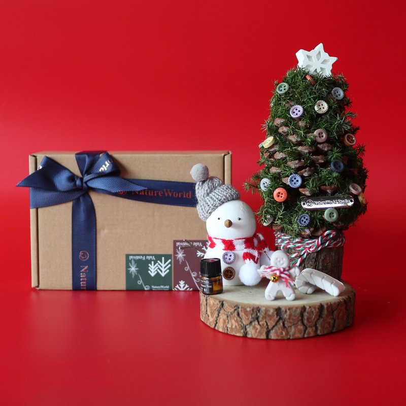 Classic Christmas diffuser combination DIY material package + instructional video - จัดดอกไม้/ต้นไม้ - วัสดุอื่นๆ สีแดง