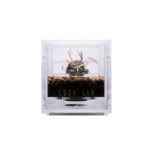 EQUA LAB EQUALAB MFNVBOX 多功能自然景觀箱 多肉植物模組 For Succulent