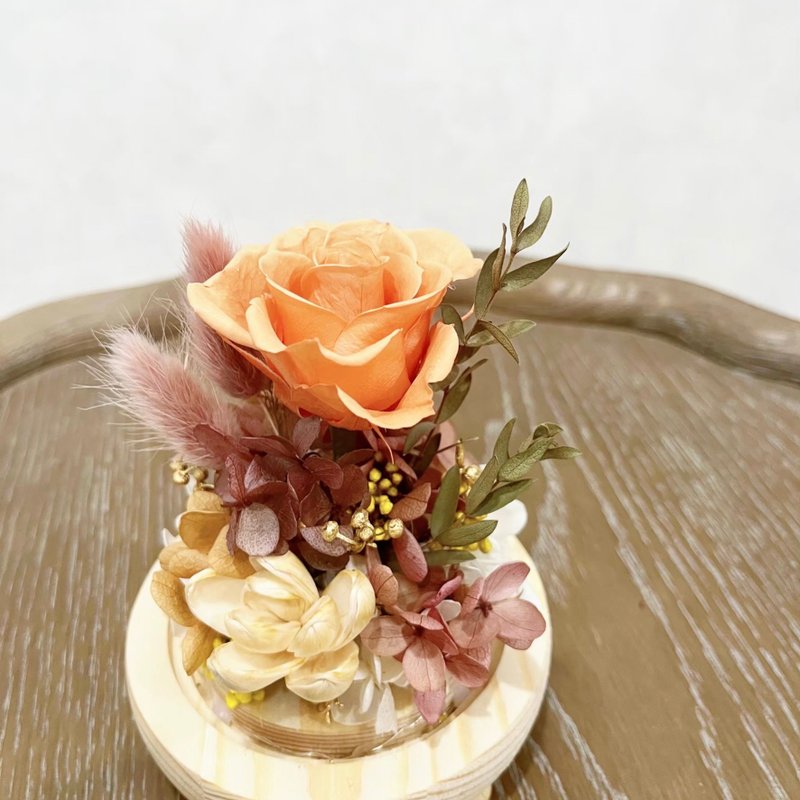 Rose Silent Night - Preserved Flowers Dried Flowers Glass Cup Night Light - Dried Flowers & Bouquets - Plants & Flowers Orange