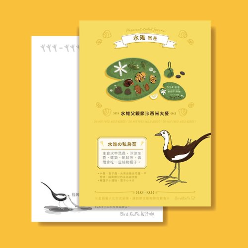 Bird KaFe 鳥仔咖 鳥明信片 | 水雉 爸爸 | 鳥兒の私房菜系列