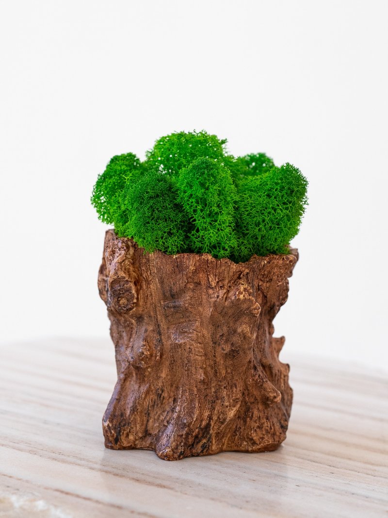 Moss pot, kids room decor, green decor, decor for table, home decor - Plants - Plants & Flowers Green