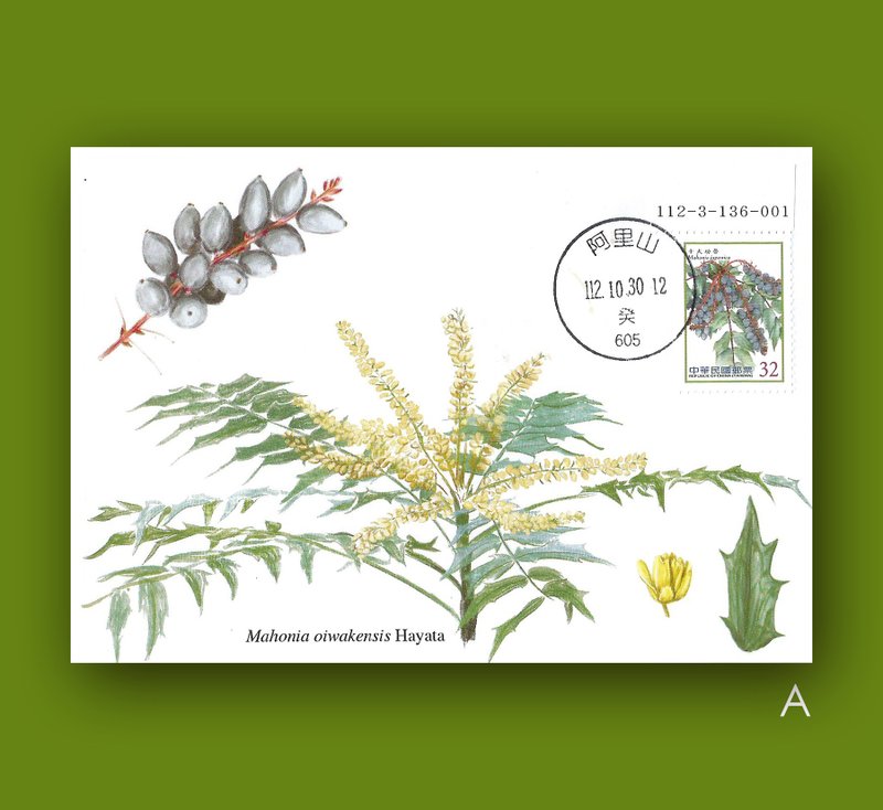阿里山十大功勞原圖卡 - 卡片/明信片 - 紙 綠色