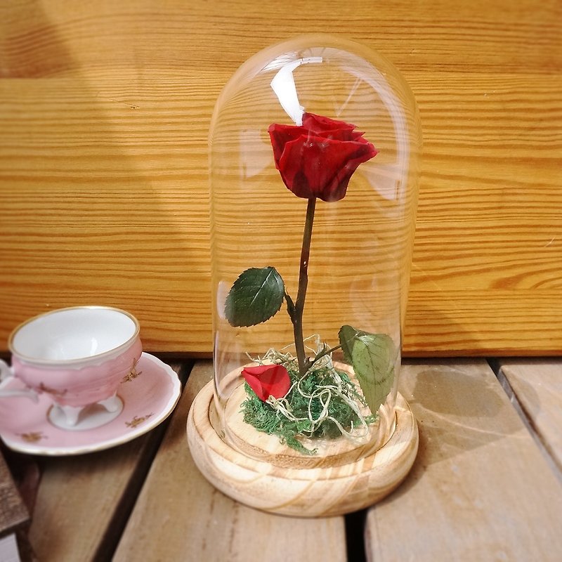 「プレオーダー」ビューティ＆ビーストシリーズ-ガラスカバーイモータルローズ - 観葉植物 - 寄せ植え・花 