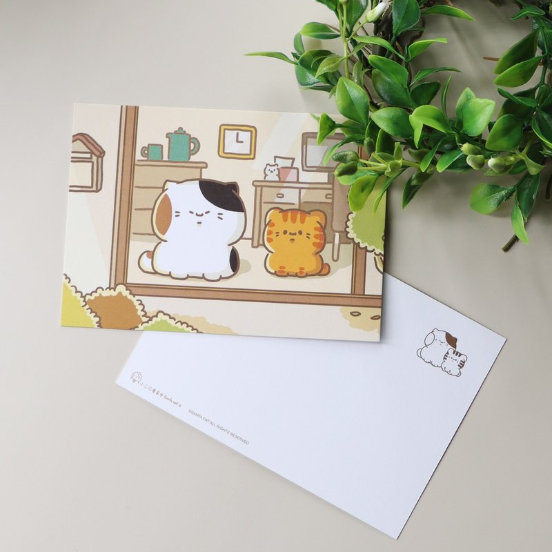 典藏明信片-貓貓看家中│小三花看家中Sanfa cat│貓咪明信片 - 卡片/明信片 - 紙 白色