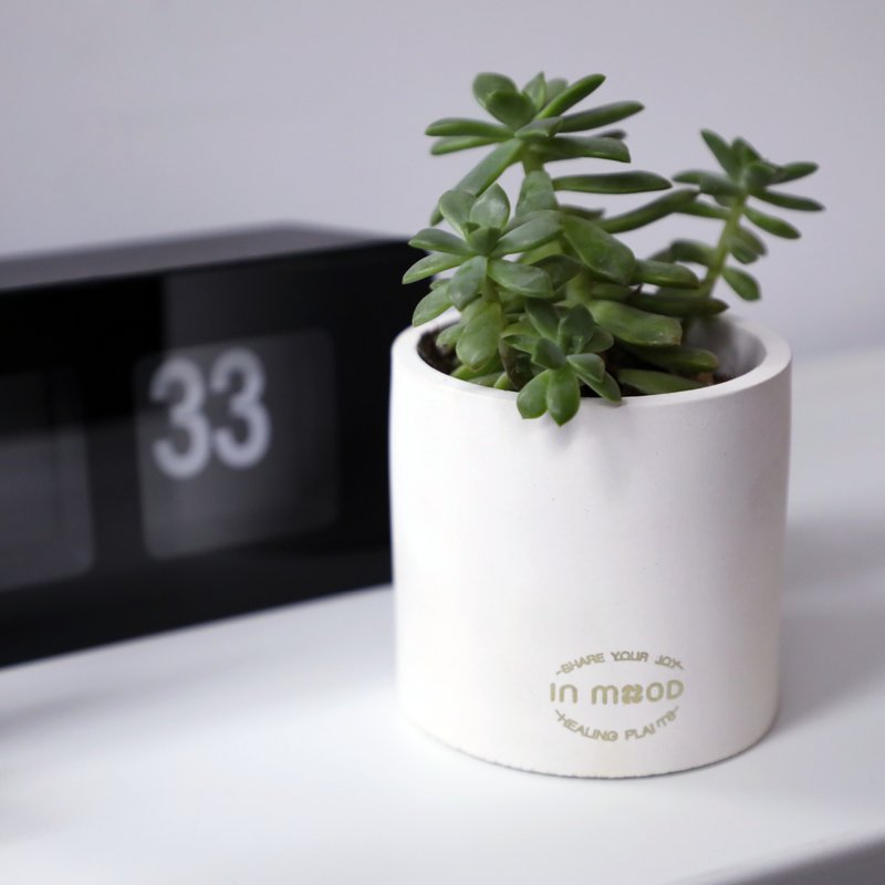 【In mood】Pure mud pot | event designated pot | cylindrical Cement pot flower - ตกแต่งต้นไม้ - ปูน 