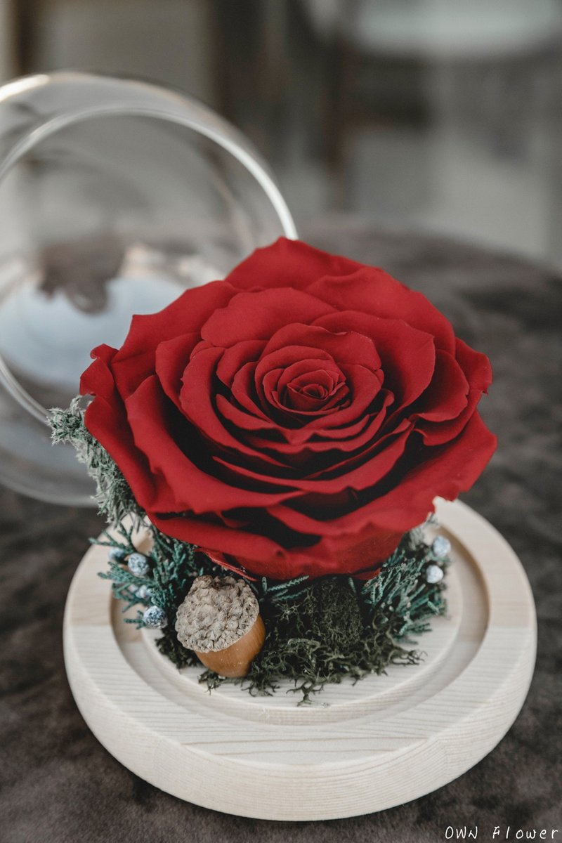 永生紅玫瑰/聖誕禮物/永生花玻璃盅/生日禮物/交換禮物/不凋花禮 - 乾燥花/永生花 - 植物．花 紅色