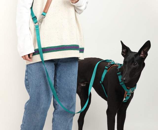 Hidream clearance dog harness