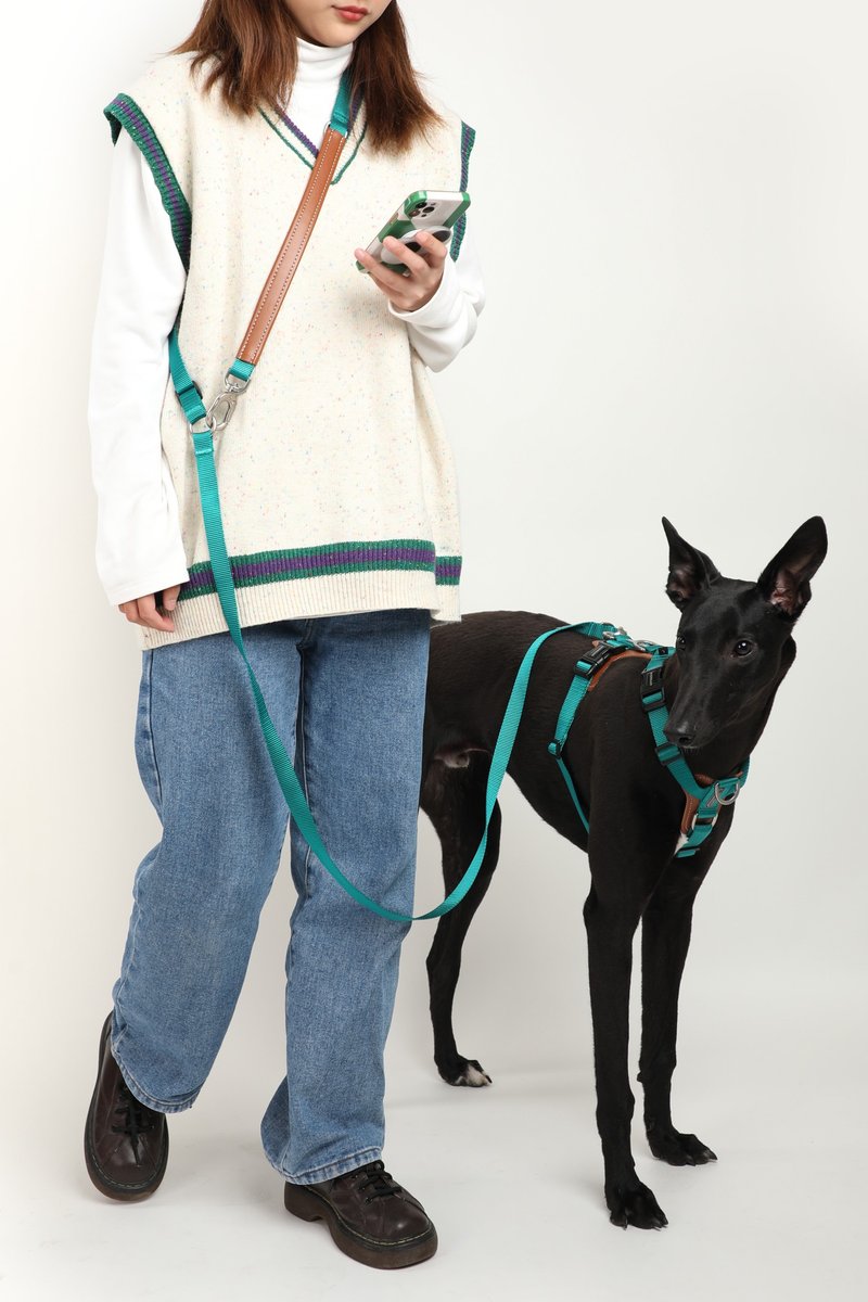 【HiDREAM】Multi-functional Messenger Leash for Pets Going Out (Multi-color) - ปลอกคอ - ไฟเบอร์อื่นๆ หลากหลายสี