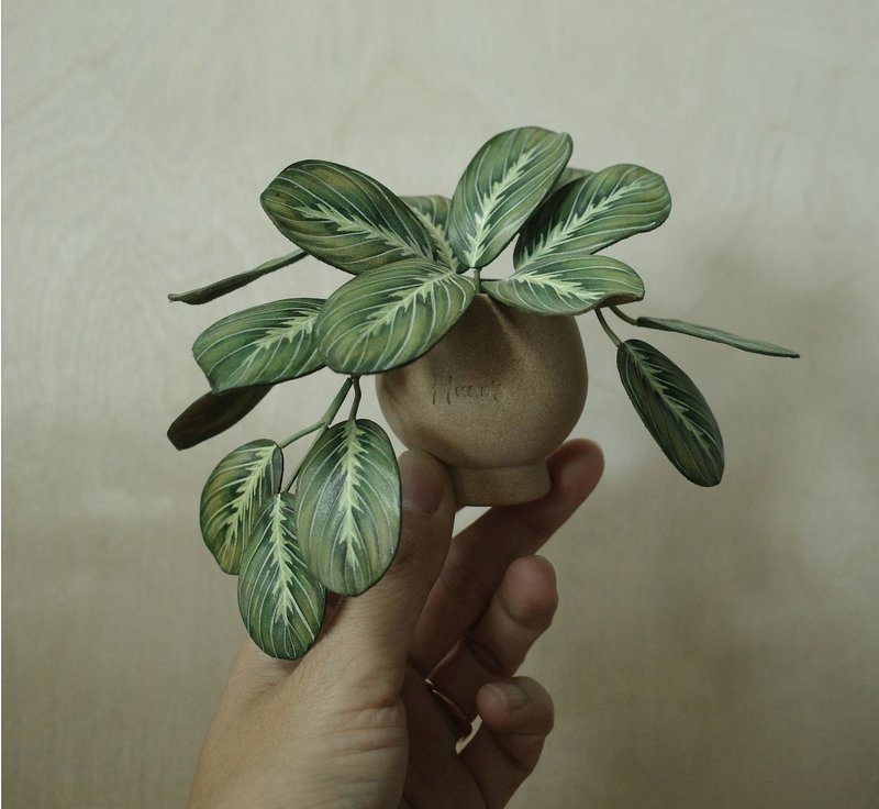 綠豹紋竹芋 絕版作品 僅此一件 - 擺飾/家飾品 - 真皮 