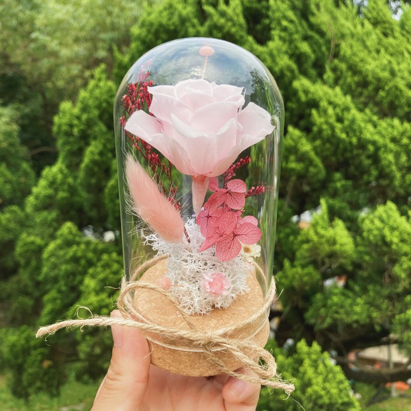 浪漫永生玫瑰鐘罩 七夕情人節/情人節禮物/紀念禮物/母親節/生日 - 乾燥花/永生花 - 植物．花 多色