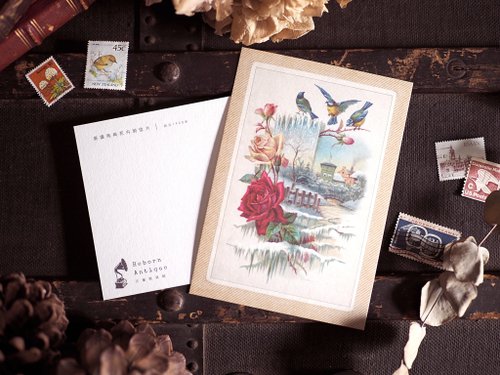 Reborn Antique 古董雜貨鋪 古董插畫家系列 復刻版明信片 I款 西元1920年美國鳥與花卉明信片