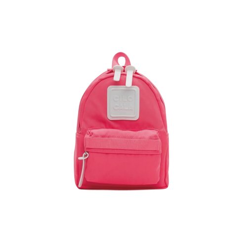 pinkリュック Pink Backpacks | JanSport