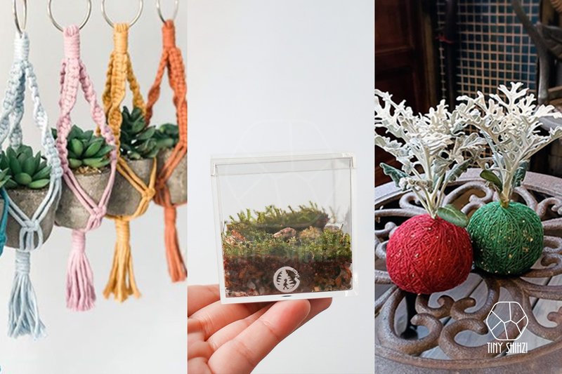 屏東總圖【植物自療】系列課程 - 植栽/花藝 - 植物．花 