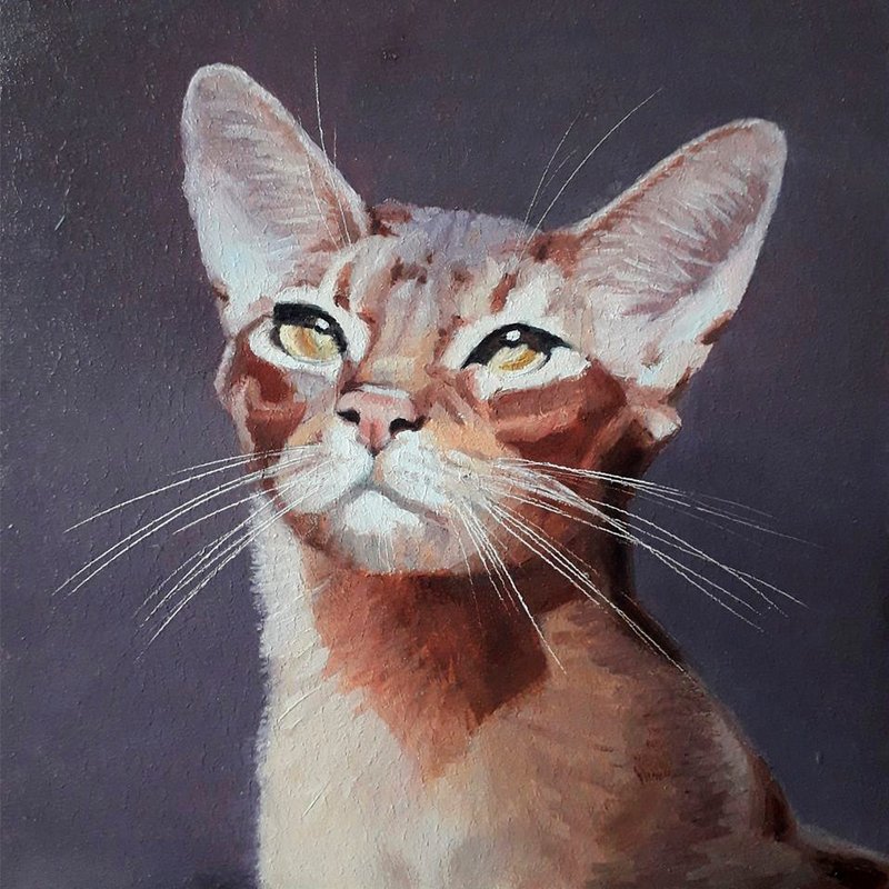 Original oil painting. Abyssinian cat. Portrait of a cat 20 x 20 cm - ตกแต่งผนัง - วัสดุอื่นๆ 