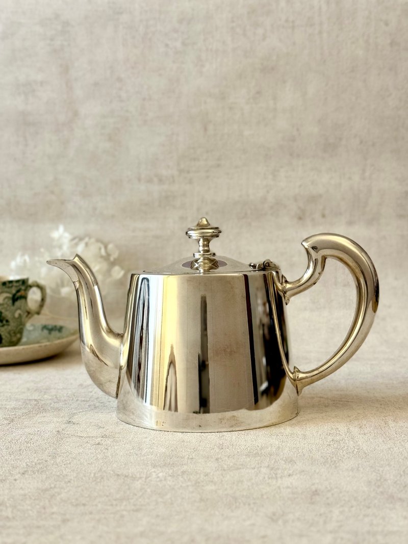 40285-Classic French antique ERCUIS silver-plated teapot with tea filter - Teapots & Teacups - Silver 