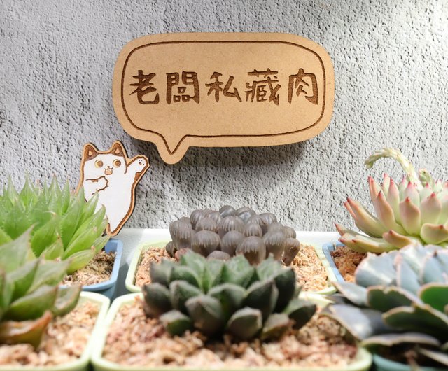 多肉植物 特注ランダムパック 専用 【公式通販】