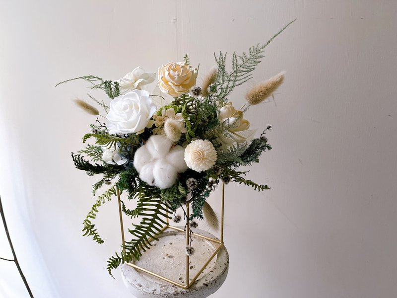 草原系 永生花 桌上盆花 喬遷 開幕 盆花 - 盆栽/植栽 - 植物．花 綠色