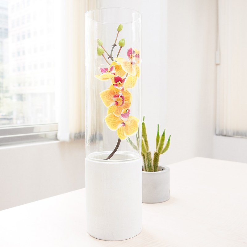 Cement flower | Qing Pu design models: cut glass (white) - Plants - Cement White