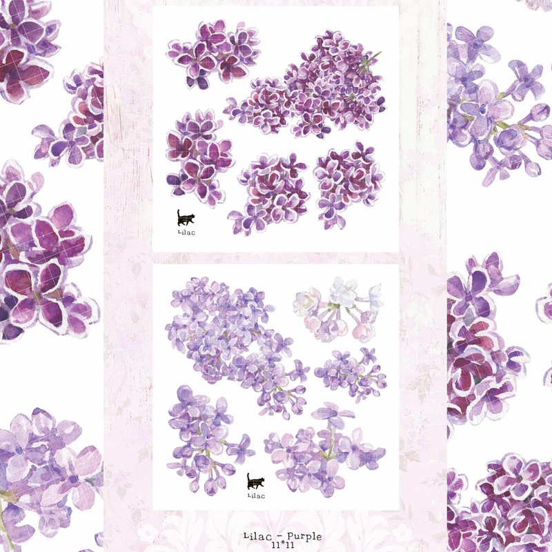 Lilac - Purple 2 types mix - White Printed PET (blue lion) (suyeon) - Stickers - Paper Purple