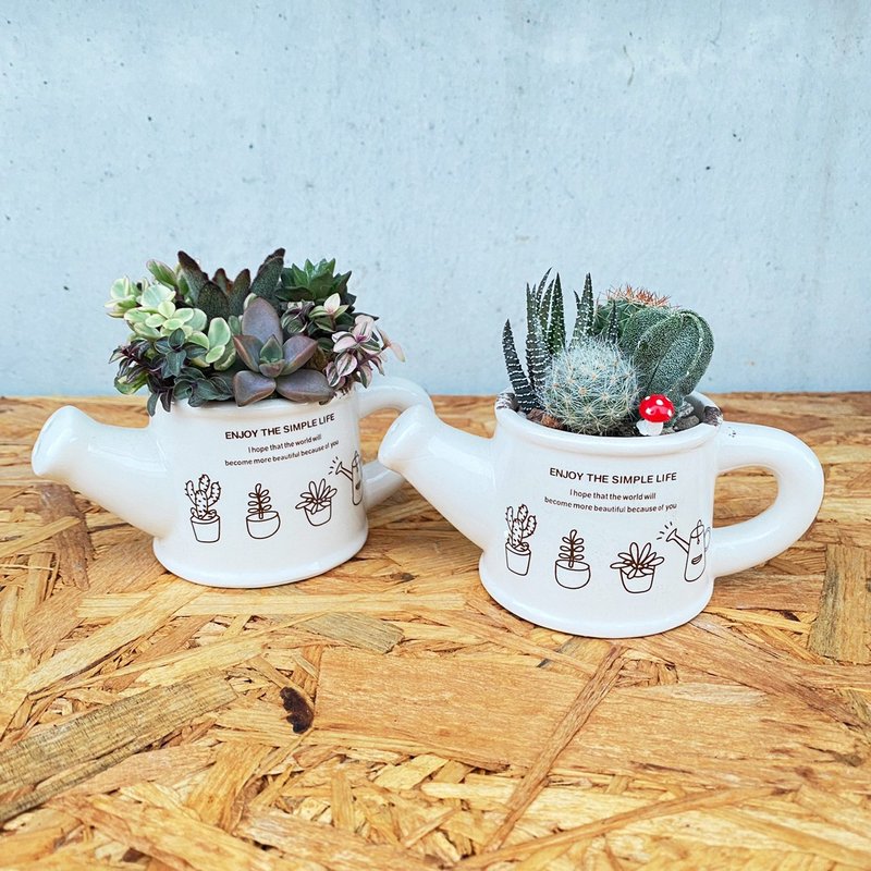 [Doudou Succulents] Housewarming│Gifts│Promotion│Succulents│-Country Ceramic Shower Set - Plants - Pottery 