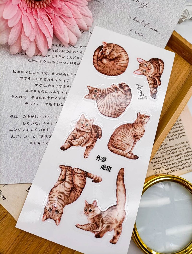 5K061_五口美 _作夢虎斑_Tabby Cat B/Transfer Stickers - Stickers - Other Materials Multicolor