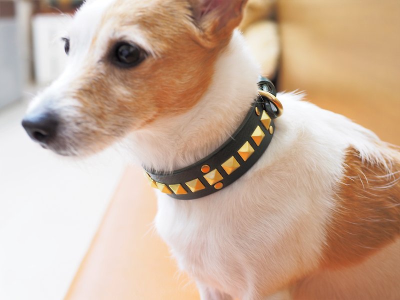 Pet Collar - Maya Image │Genuine Leather - Collars & Leashes - Genuine Leather Green