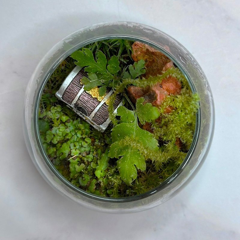 New product launch - super mini hand-held micro-landscape ecological basin – secret treasure of the forest - Plants - Plants & Flowers 