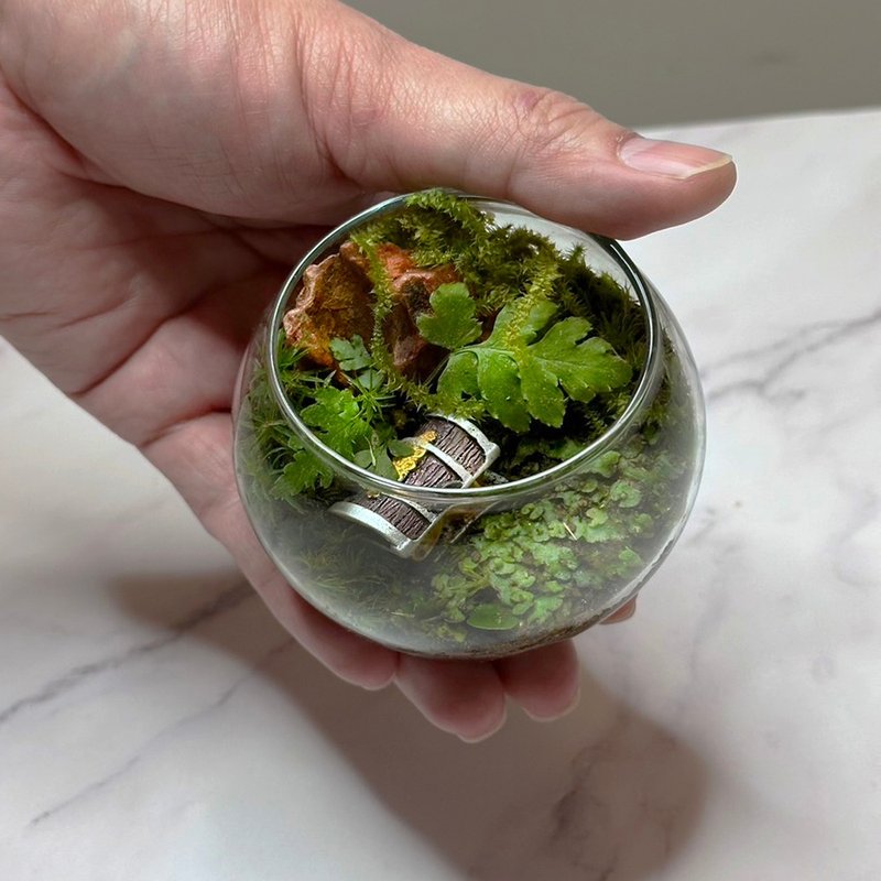 Forest Secret Treasure/Super Mini Palm-Sized Handmade Micro Landscape Ecological Basin - Plants - Plants & Flowers 