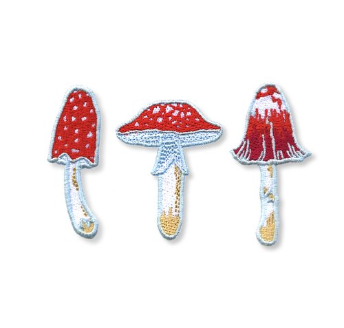 MR.LEMONHEAD MUSHROOMS PATCH JUNGLE COLLECTION